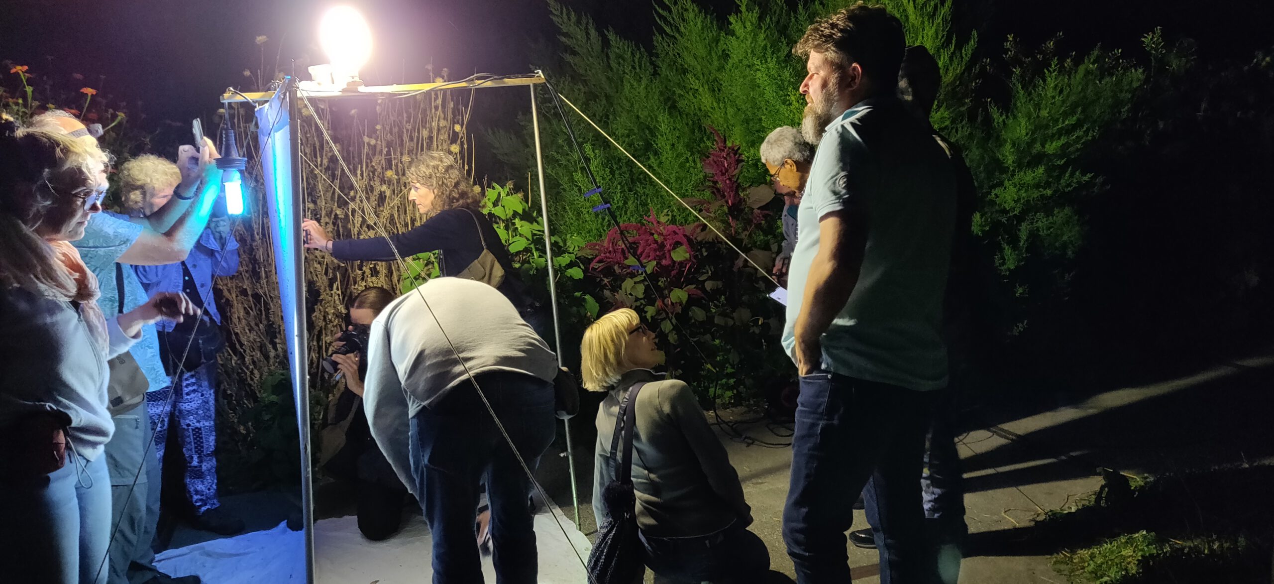 IMG_20220902_215328 Nachtvlindersafari (1)