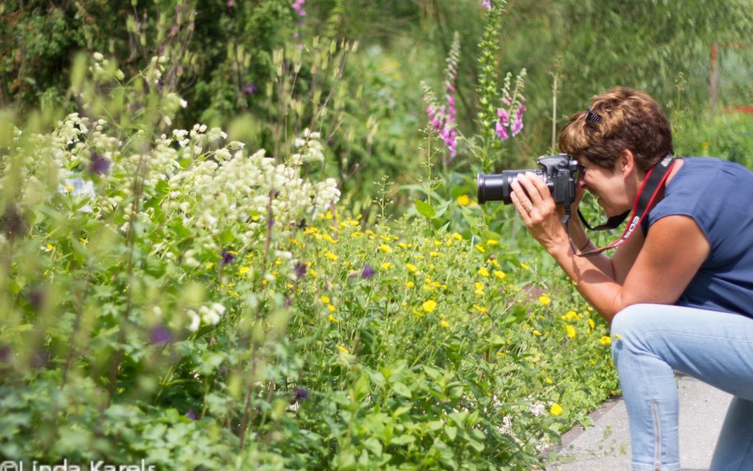 Basisfotografie (6 lessen – ochtend)