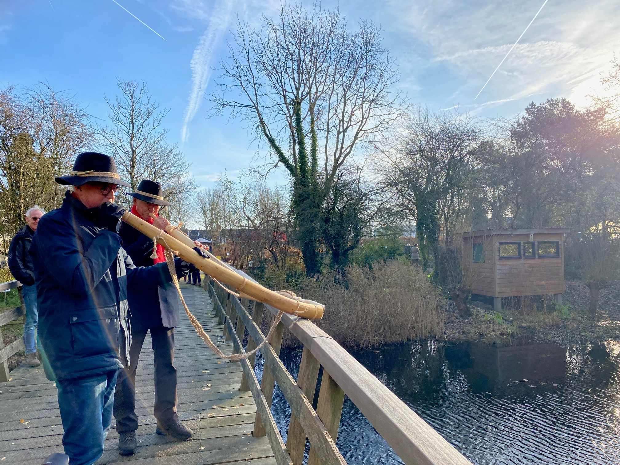 Midwinterhoorn in Hortus Alkmaar.