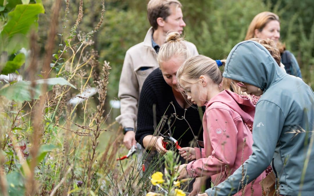 Rondleiding zaden oogsten