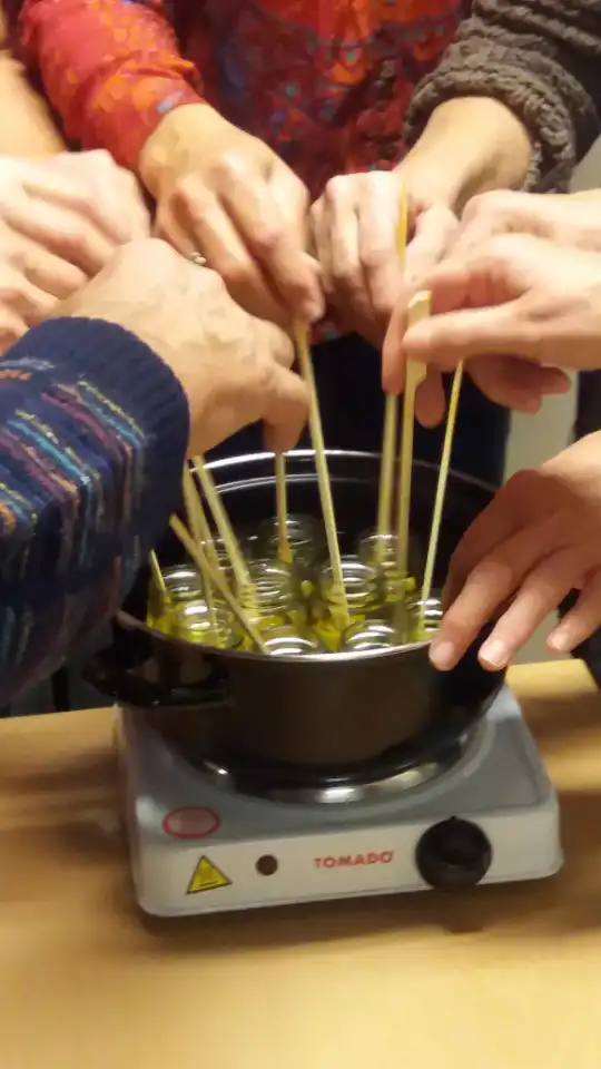Zalf maken van kruiden kan tijdens de kruidenworkshop in Hortus Alkmaar. Deelnemers maken samen een natuurlijke zalf tijdens een zomerse kruidenworkshop.
