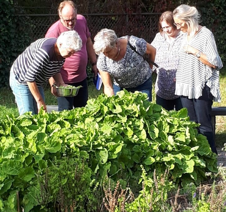 Kruidenworkshop: Eten uit de natuur