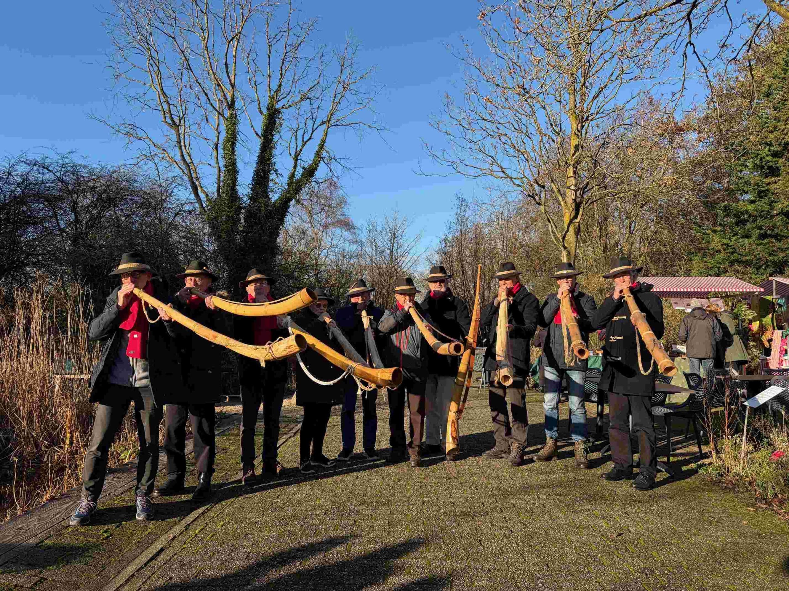 Midwinterhoorns blazen aan in Hortus Alkmaar